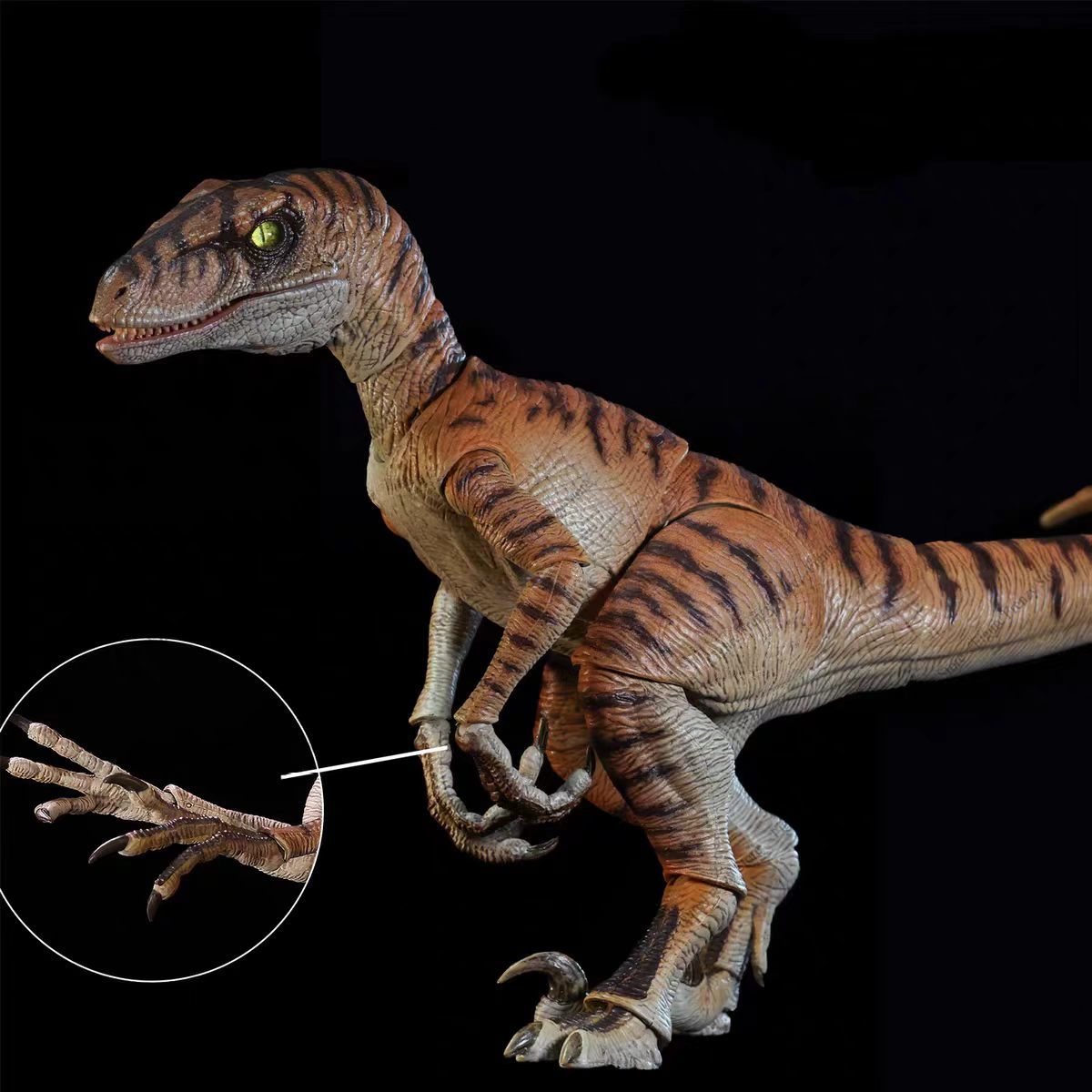 新品のNANMU Studio ジュラ紀恐竜アクションフィギ - Model Kit Dinosaur Bandai のレビューと価格