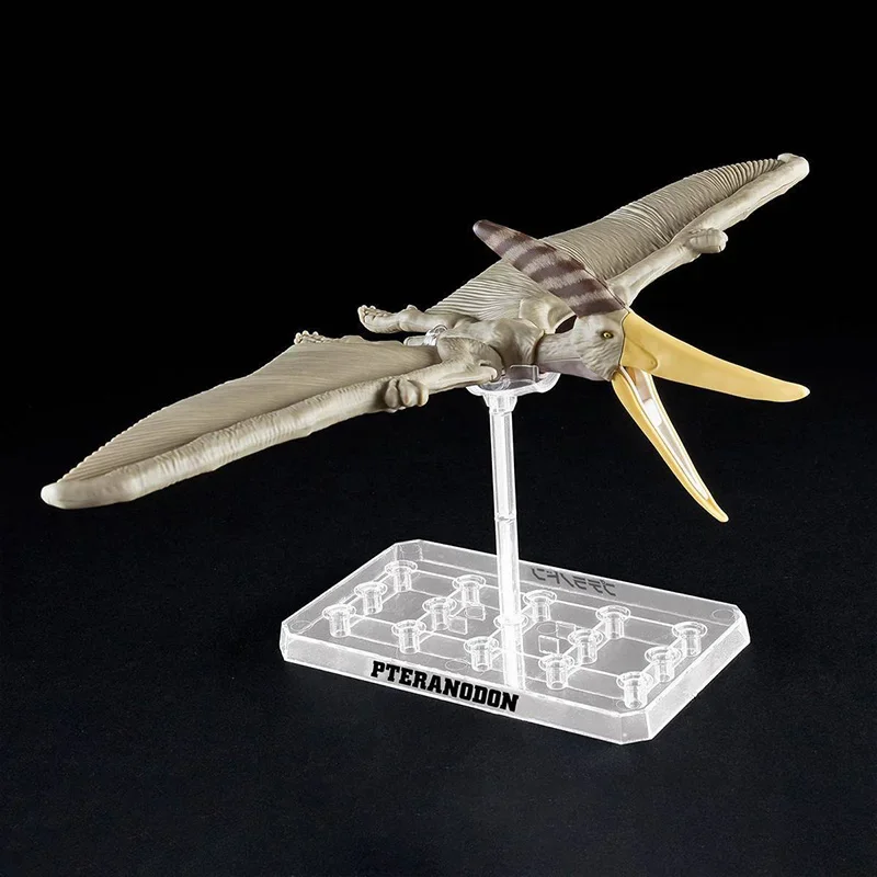 バンダイ Plannosaurus 恐竜ティラノサウルス G - Model Kit Dinosaur Bandai のレビューと価格