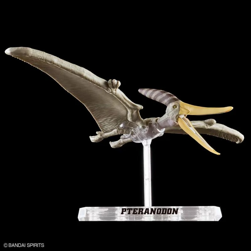 バンダイ プラノサウルス プテラノドン恐竜骨格化石組み立て模 - Model Kit Dinosaur Bandai のレビューと価格