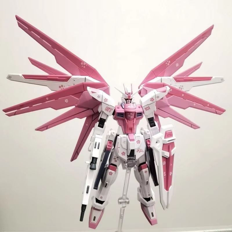 JMS HG 1/144 ZY-06 フリーダムアサルト桜ア - Gundam Model Mg のレビューと価格