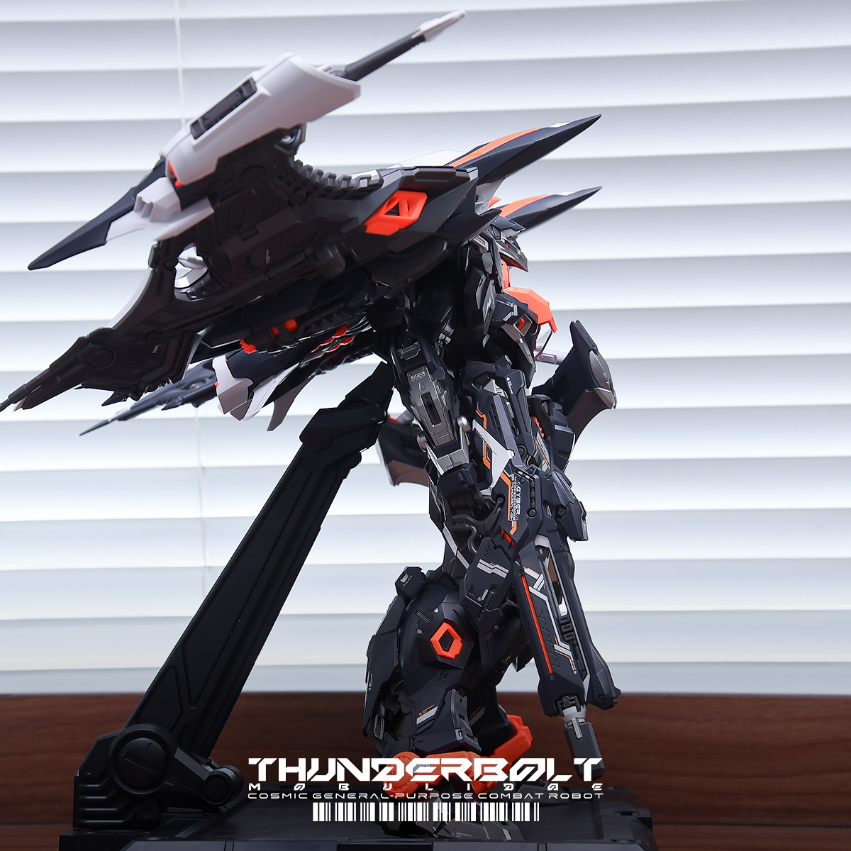 THUNDERBOLT MOBULIDAE 1/100 おも - Model Kit Infinite Dimension のレビューと価格