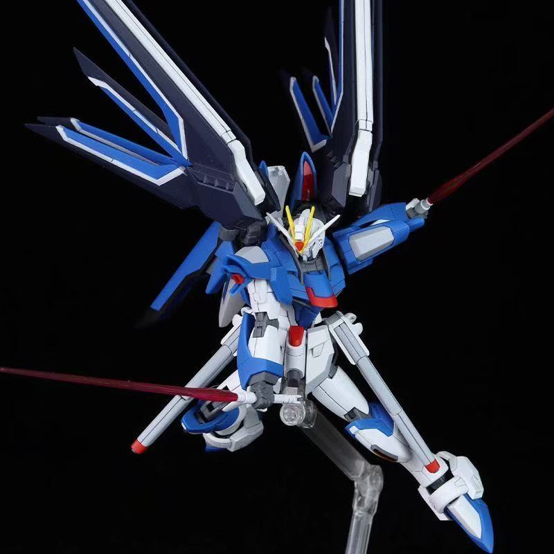 HG STTS-909 ライジング・フリーダムガンダム モデ - Model Kit Mecha のレビューと価格