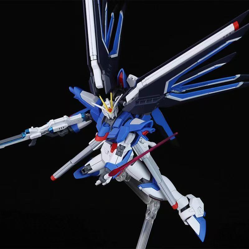 HG STTS-909 ライジング・フリーダムガンダム モデ - Model Kit Mecha のレビューと価格